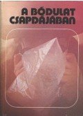 Németh Zsolt,Huber Béla,Kisszékelyi Ödön - A bódulat csapdájában