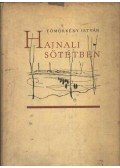 Tömörkény István - Hajnali sötétben