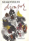 Bíró Ágnes - Szaknyelvi divatok