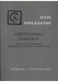 Hargittay Emil - Méréstechnikai gyakorlat