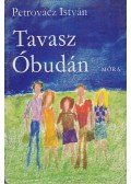 Petrovácz István - Tavasz Óbudán