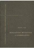 Hegedűs Lajos - Beigazítási műveletek a gyorssajtón