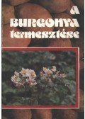 Lőrincz József - A burgonya termesztése
