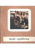 Jakucs László - Baradla cseppkőbarlang