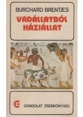 Burchard Brentjes - Vadállatból háziállat