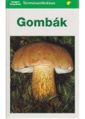 Grünert, Helmut,Grünert, Renate - Gombák