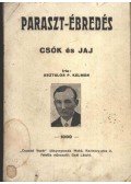 Asztalos P. Kálmán - Csók és jaj