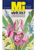 Golte-Bechtle, M.,Aichele, D. - Mi virít itt?