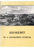 Kubinyi Ferenc,Vahot Imre - Kecskemét és a kecskeméti puszták
