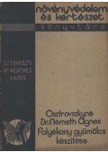 Osztróvszkyné E. Németh Ágnes, dr. - Folyékony gyümülcs készítése