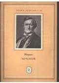 Wagner - Walkür