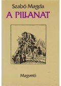 Szabó Magda - A pillanat