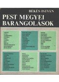 Békés István - Pest megyei barangolások
