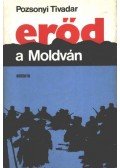 Pozsonyi Tivadar - Erőd a Moldván