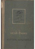 Vészi Endre - Ketten hazafelé