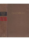 Ehrenburg, Ilja - Vihar