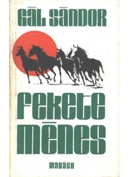 Gál Sándor - Fekete ménes Gál Sándor - Fekete ménes, 1981 antikvár könyv