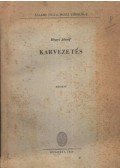Hegyi József - Karvezetés