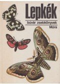 Dr. Kalmár Zoltán - Lepkék