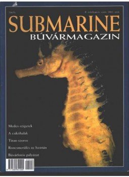 Násfay Béla - Submarine 2001. nyár 6. szám Násfay Béla - Submarine 2001. nyár 6. szám, Budapest 2001 antikvár könyv