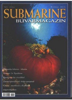 Násfay Béla - Submarine 2002. ősz Násfay Béla - Submarine 2002. ősz, Budapest 2002 antikvár könyv