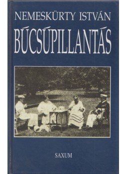 Nemeskürty István - Búcsúpillantás Nemeskürty István - Búcsúpillantás, Budapest 1995 antikvár könyv