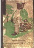 Sebők Zsigmond - Dörmögő Dömötör utazásai