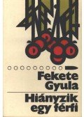 Fekete Gyula - Hiányzik egy férfi