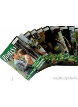 Hart, Jessica, Reid, Michelle, Michaels, Leigh, Mortimer, Carole, Greene, Jennifer, Gordon, Lucy, Conrad, Linda, Hudson, Jan, Gerard, Cindy, Fetzer, Amy J. - Romana 351-360. füzet Hart, Jessica, Reid, Michelle, Michaels, Leigh, Mortimer, Carole, Greene, Jennifer, Gordon, Lucy, Conrad, Linda, Hudson, Jan, Gerard, Cindy, Fetzer, Amy J. - Romana 351-360. füzet, Budapest 2006 antikvár könyv
