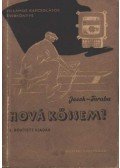 Jesch László,Taraba István - Hová kössem?