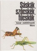 Bakonyi Gábor - Sáskák, szöcskék, tücskök