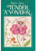 Bálint Ágnes - Tündér a vonaton