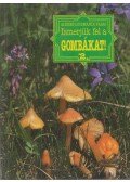 Vasas Gizella,Albert László,Locsmándi Csaba - Ismerjük fel a gombákat! 2.