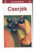 Gunter Steinbach - Cserjék