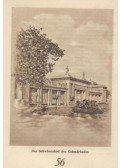 Szviezsényi Zoltán - Budapest Bäderstadt