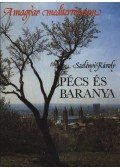 Szelényi Károly - Pécs és Baranya