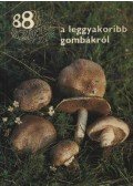 Dr. Rimóczi Imre - 88 színes oldal a leggyakoribb gombákról