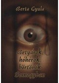 Berta Gyula - Betyárok, hóhérok, börtönök Somogyban