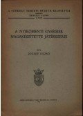 József Dezső - A nyikómenti gyermek magakészítette játékszerei