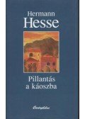 Hermann Hesse - Pillantás a káoszba