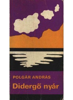 Polgár András - Didergő nyár Polgár András - Didergő nyár, Budapest 1978 antikvár könyv