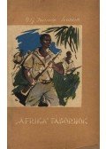 Leonov-Ivanov, V. G. - Afrika tábornok