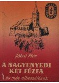 Jókai Mór - A nagyenyedi két fűzfa