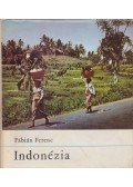 Fábián Ferenc - Indonézia