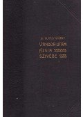 Almásy György - Vándor-utam Ázsia szivébe