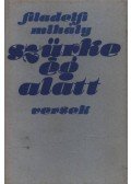 Filadelfi Mihály - Szürke ég alatt