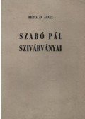Bertalan Ágnes - Szabó Pál szivárványai