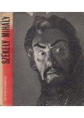 Várnai Péter - Székely Mihály (lemezzel)