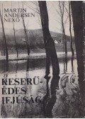 Nexő, Martin Andersen - Keserű-édes ifjúság