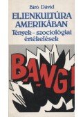 Bíró Dávid - Ellenkultúra Amerikában